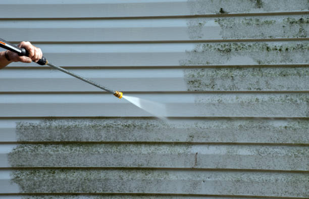 Best Gutter Cleaning  in Suncoast Estates, FL
